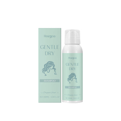 Leave-In Dry Hair Spray Dry Cleaning Spray Oil Control Volumizing Glossy Hair Easily Manage Hair - Korvel