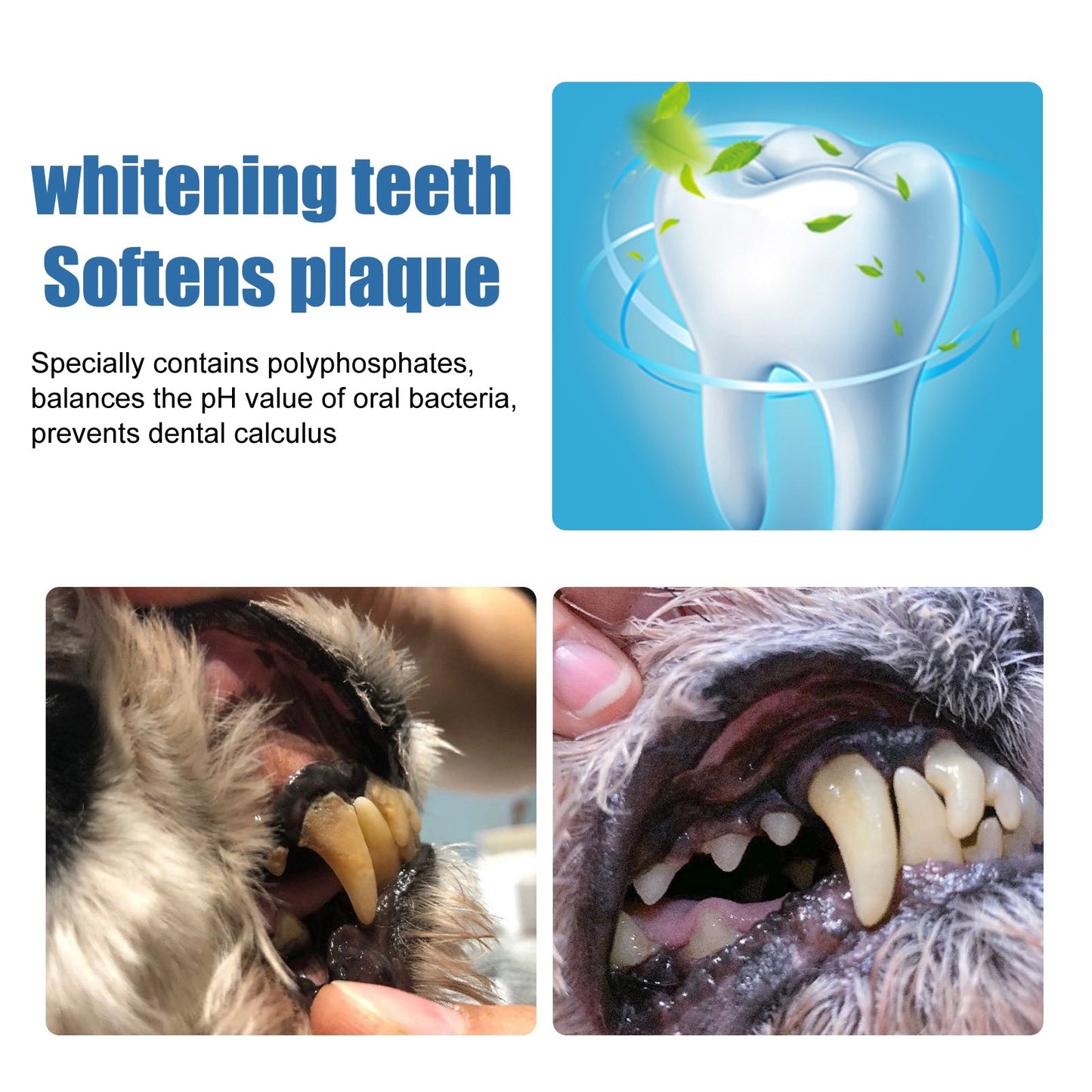 Pet Tartar Remover, Removing Dental Calculus Yellow Teeth Halitosis Cleaning Teeth Mouth Foam Cleaner - Korvel
