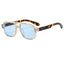 Retro Casual Double Beam Sunglasses