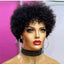 Large Bouncy Afro Kinky Curly Wigs For Black Women Glueless Pre Plucked Machine Made Wig Brazilian Virgin Remy Human Hair Wigs - Korvel