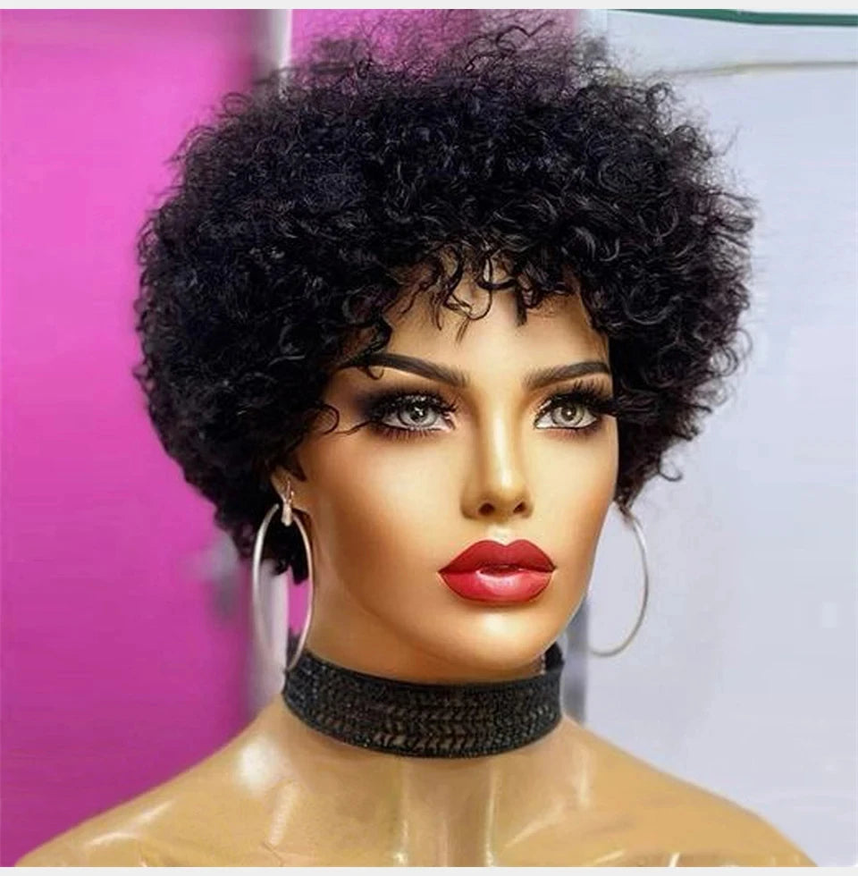 Large Bouncy Afro Kinky Curly Wigs For Black Women Glueless Pre Plucked Machine Made Wig Brazilian Virgin Remy Human Hair Wigs - Korvel