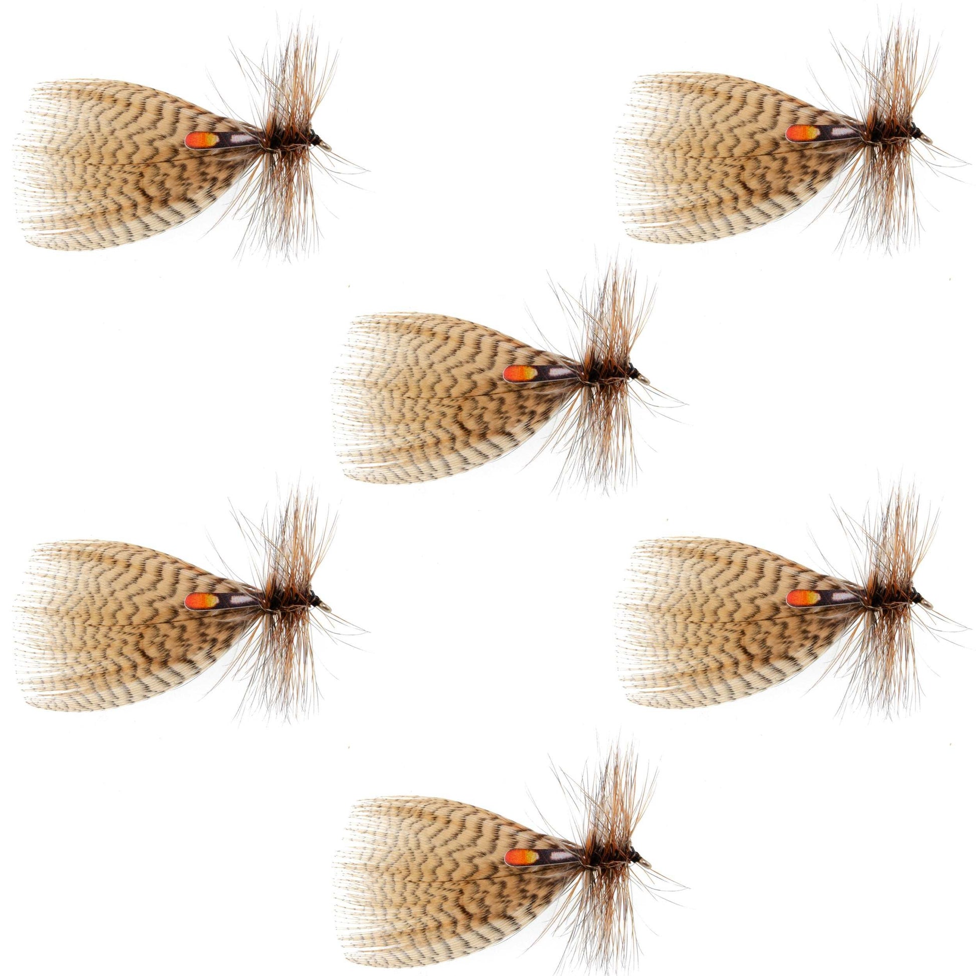 Hornberg Classic Trout & Bass Flies - 6 Pack, Size 10 - Korvel