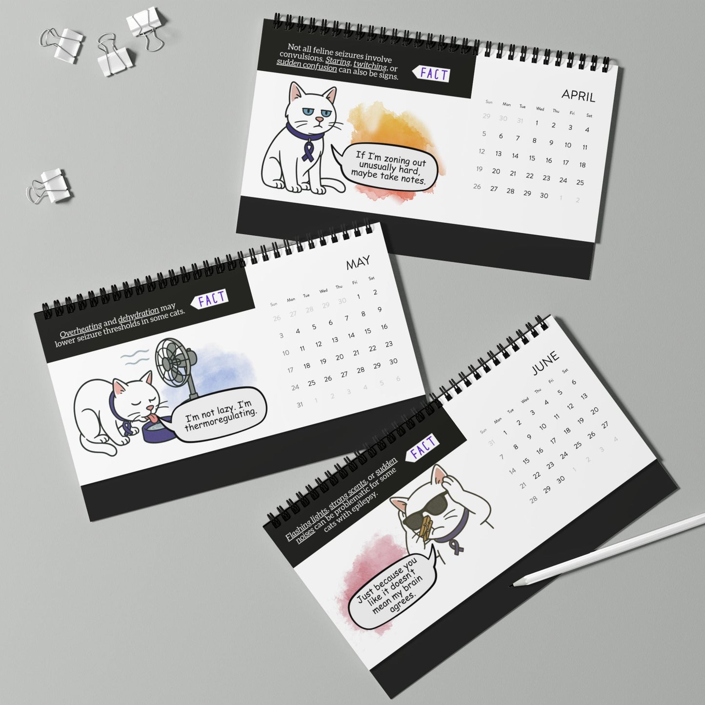 Watching the Signs: A Cat’s Year With Epilepsy Desktop Calendar