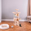 Cat Climbing Frame3 - Korvel
