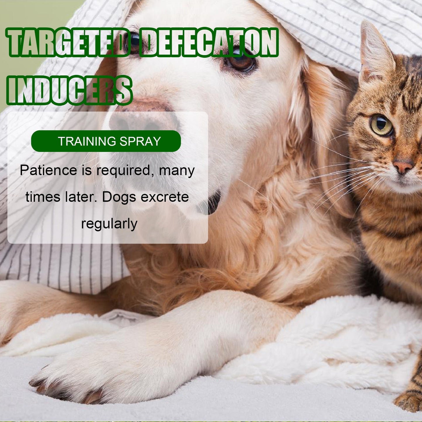 Pet Toilet Training Inducer Spray