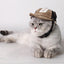 Sun Hat with G-Word Dog Design, Travel Sun Hat for Spring and Autumn, Outdoor Sun Protection with Mesh Ventilation, Pet Themed Baseball Cap - Korvel