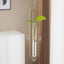 Jarrón Hidropónico de Vidrio Estilo Escandinavo para Decoración Creativa