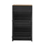 ONTREND Black Shoe Cabinet with 2 Flip Drawers