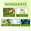 Jasmine Moisturizing Body Wash, Gentle, Clean, Smooth, Moisturizing And Fragrant Body Wash - Korvel