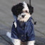 Premium Windproof British Retro Dog Raincoat