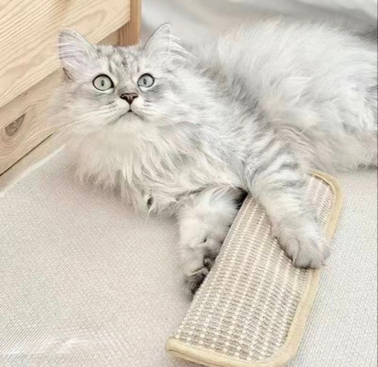 CatNip Fury Kicker - Korvel