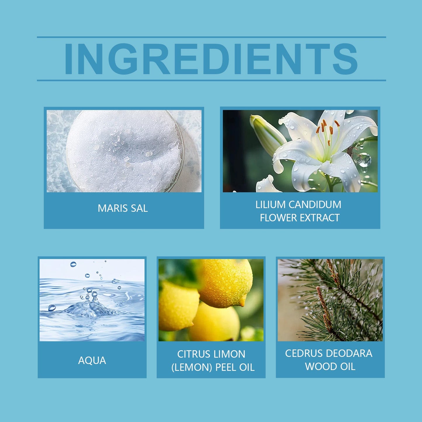 Fresh Ocean Perfume Ball Natural Fragrance Lasting Fragrance Date Sea Breeze Tune Fresh Rolling Ball Perfume - Korvel