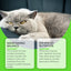 Premium Probiotic Drops for Cats - Enhance Digestive Health