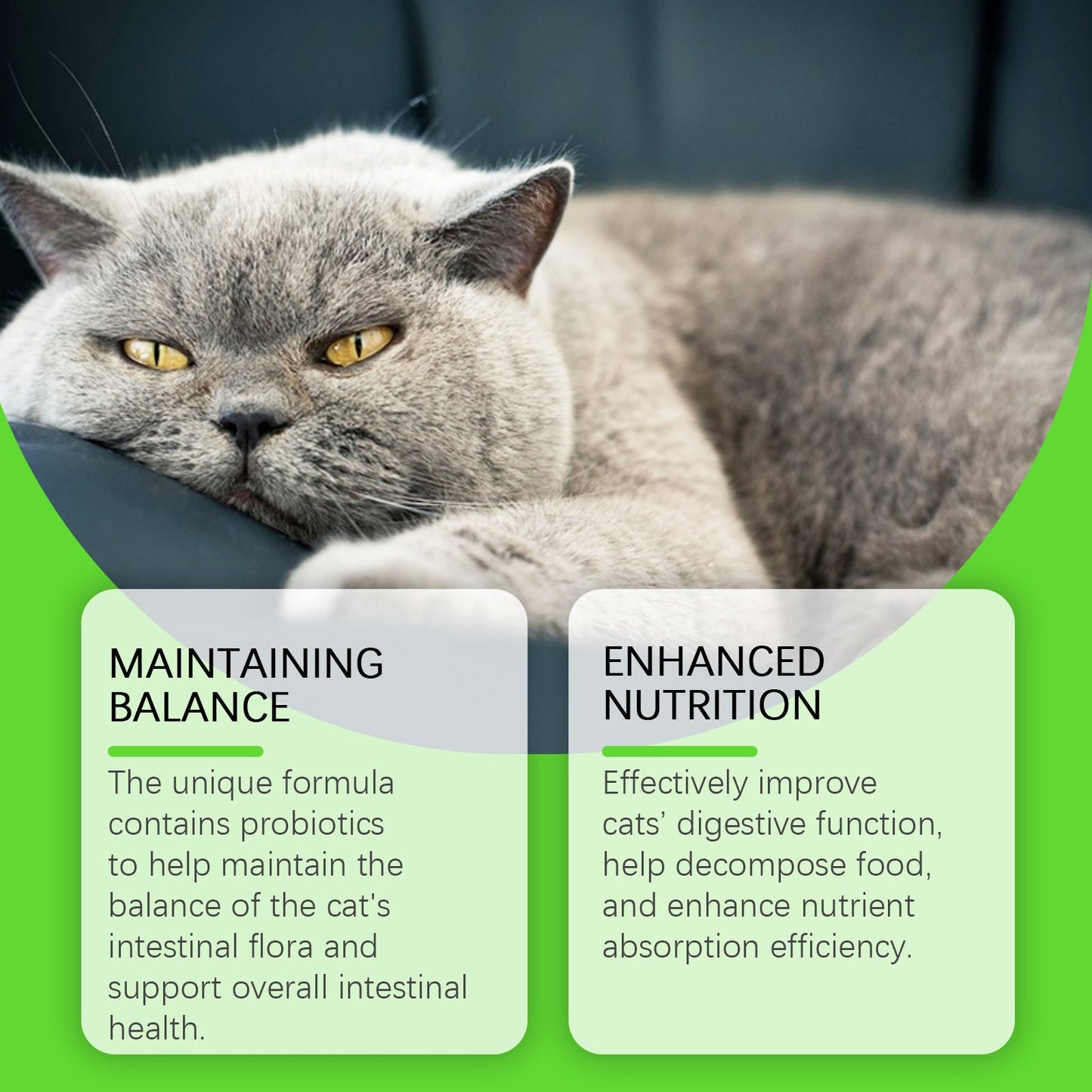 Premium Probiotic Drops for Cats - Enhance Digestive Health