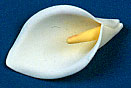 Large Calla Lily Flower Decorations - 50 pcs