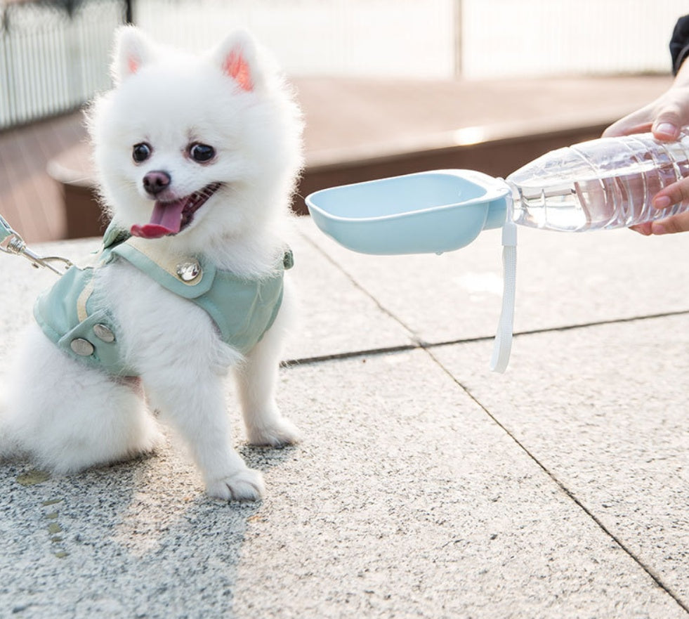 Bouteille d'eau portable Teddy pour animaux de compagnie