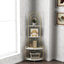 Gold 4-Tier Corner Bookshelf, Modern Style, Plant Stand with Metal Frame - Korvel