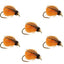 Pupa de Caddis d'Octobre LaFontaine Deep Sparkle avec Tête en Perle - Taille 10 (6 Mouches)