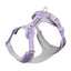 Whippet Anti-Slip Dog Harness Lightweight Dog Harness Breathable and Durable Adjustable Vest for Medium-Sized Dog Greyhounds - Korvel
