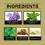 Body Firming Essence Oil Massage Firming Nourishes Repair Tender Moisturizing Firming Body Oil - Korvel