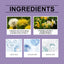 Pore Cleaning Mud Mask Stick, Gentle Clean Delicate Skin Refreshing Moisturizing Mask - Korvel