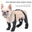 Zapatos para Perros Ajustables e Impermeables para Aventuras al Aire Libre