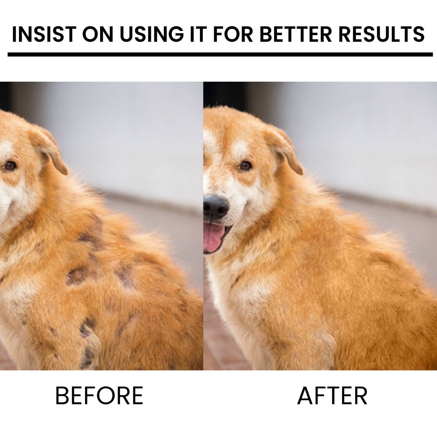 Pet Hair Growth Spray for Cats and Dogs - Hair Care Treatment for Damaged Follicles and Hair Loss - Korvel