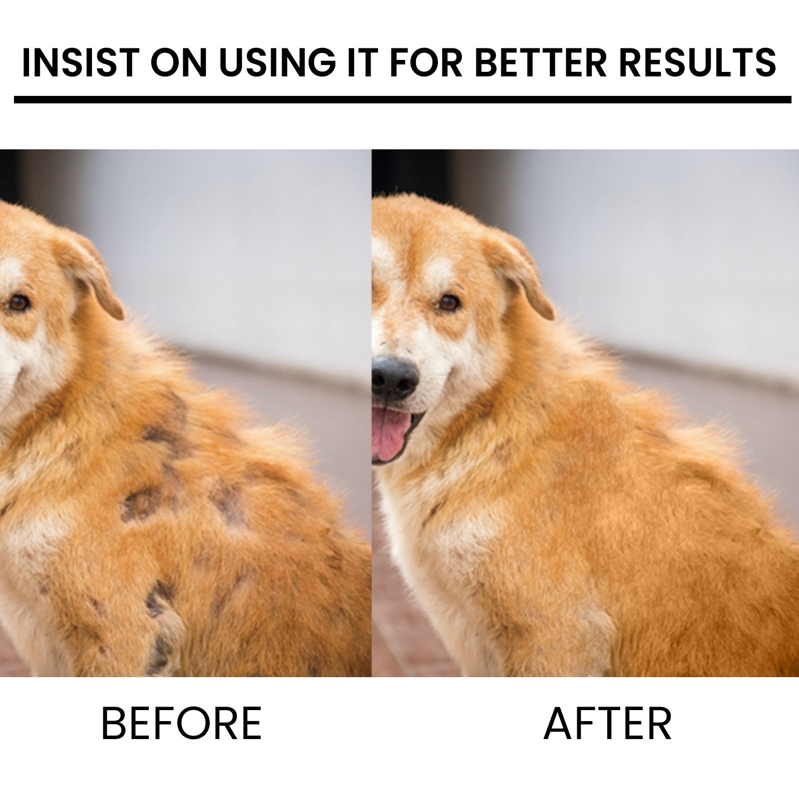 Pet Hair Growth Spray for Cats and Dogs - Hair Care Treatment for Damaged Follicles and Hair Loss - Korvel