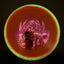 VIP Moonshine Orbit Seer Disc Golf Driver
