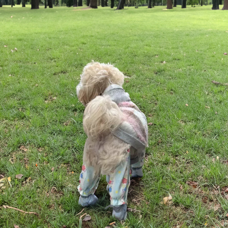 Combinaison d'été premium pour animaux de compagnie avec caractéristiques de protection