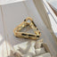 Chic Geometric Acetate Hair Claw Clamps Metal Hair Crab Women Girls Hair Clip Leopard Hairpin Hair Crab Hair Accessories - Korvel