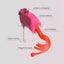 Palisandro Baby Rat Swimbait Bucktail - Muskie/Pike Lure, Hand - tied Deer Hair, Solid Body Fishing Rig - Korvel