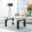 Modern Rectangle Black Glass Coffee Table for Living Room