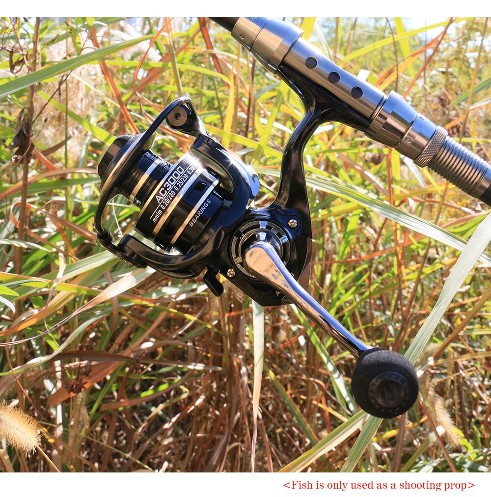 New 13+1BB Fishing Spinning Reel 2000-6000 No Gap Metal Spool Gear Ratio 5.2:1  Reel Carp Fishing Gear Pesca - Korvel
