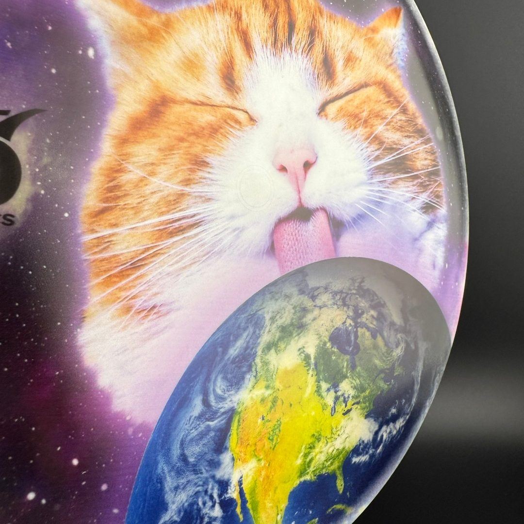 Ours de Tournoi - DyeMax - Espace Kitty, Lèche Globe Disque