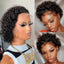 Premium Short Pixie Lace Wig - Real Human Hair