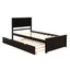 Platform Bed with Twin Size Trundle, Twin Size Frame, Espresso - Korvel