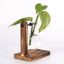 Transparent Bulb Vase with Wood Stand. For hydroponics. Great for coffee shops & room decor. - Korvel
