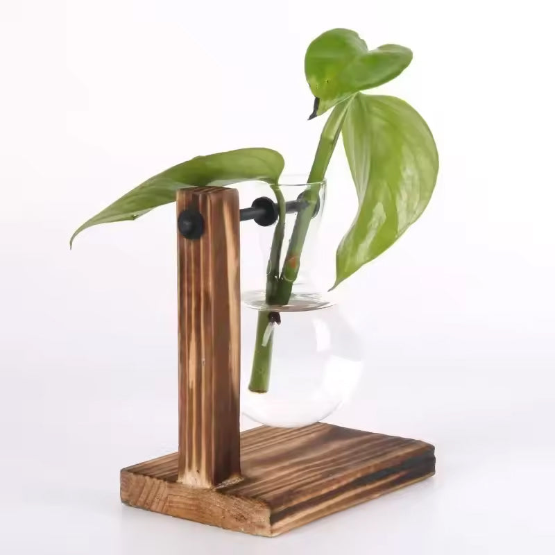 Transparent Bulb Vase with Wood Stand. For hydroponics. Great for coffee shops & room decor. - Korvel