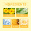 Premium Bee Venom Joint Care Cream for Moisturizing Relief