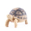 Turtle fish tank shaped handicraft resin ornaments - Korvel