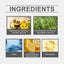 Nourishing Hair Care Solution