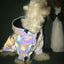 Fashion Pet Clothes Flashing Dogs Hoodie Jacket Reflective Clothing for Small Medium Large Dogs Jacket Clothing Pet Costume - Korvel