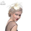 WELROG Feather Cap Lady Cocktail Dinner Party Fedoras Wedding Bridal Mesh Veil Hats Vintage Sombreros Chapeau Fascinators Hat - Korvel