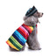 Pet Dog Supplies Creative Halloween Christmas Pet Clothes Weird Dog Clothes - Korvel