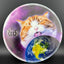 Ours de Tournoi - DyeMax - Espace Kitty, Lèche Globe Disque