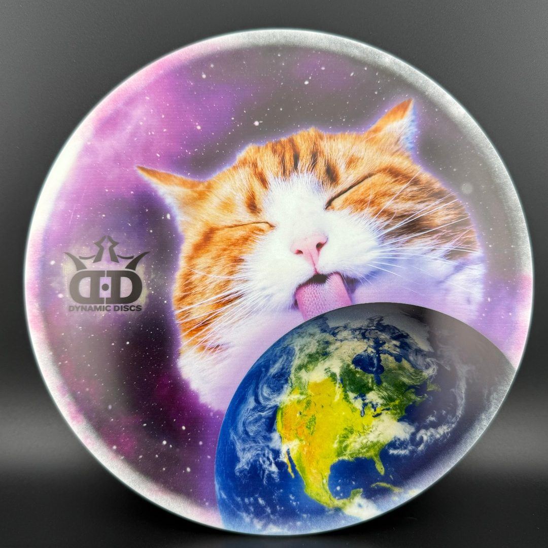 Ours de Tournoi - DyeMax - Espace Kitty, Lèche Globe Disque