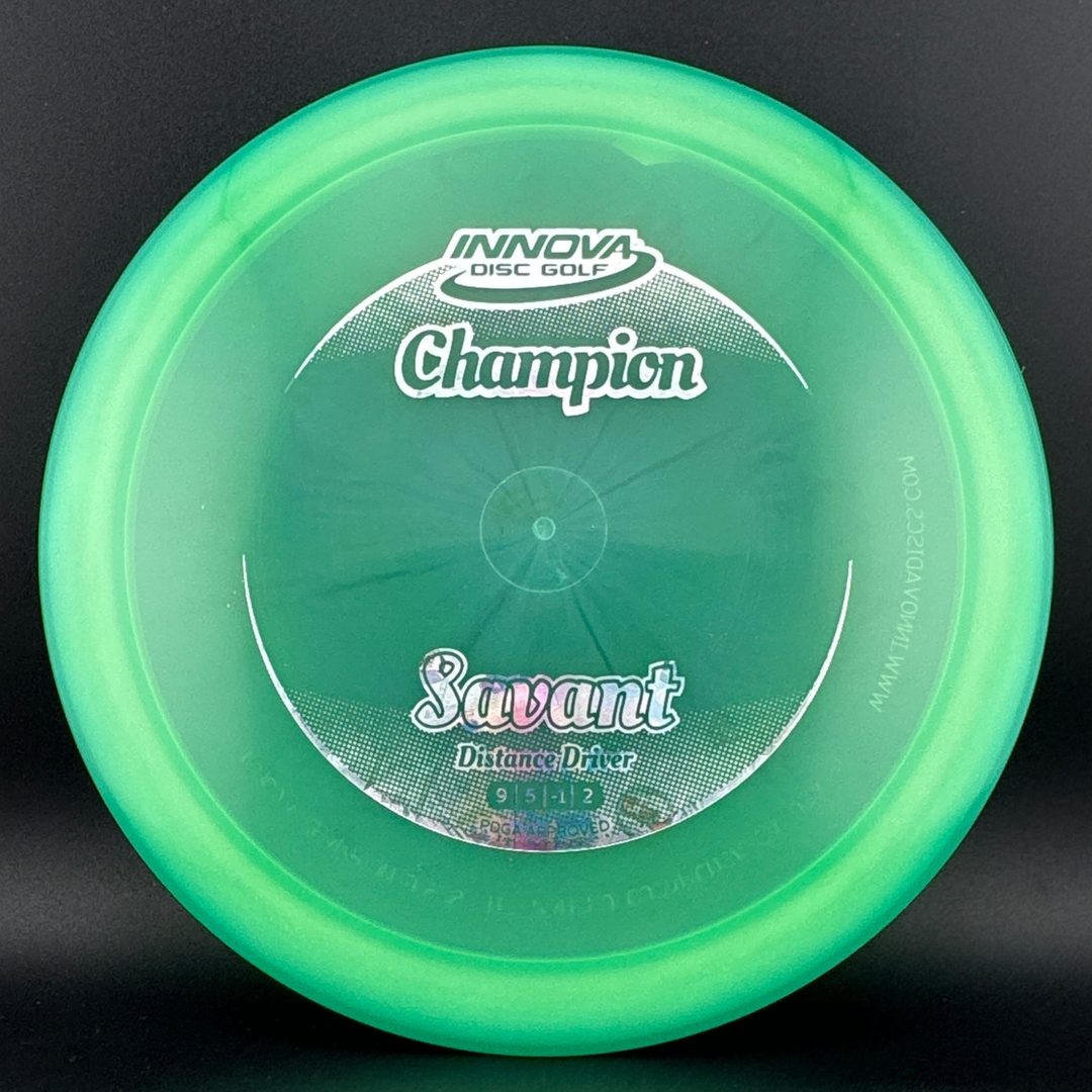 Champion Savant Disc Golf Driver