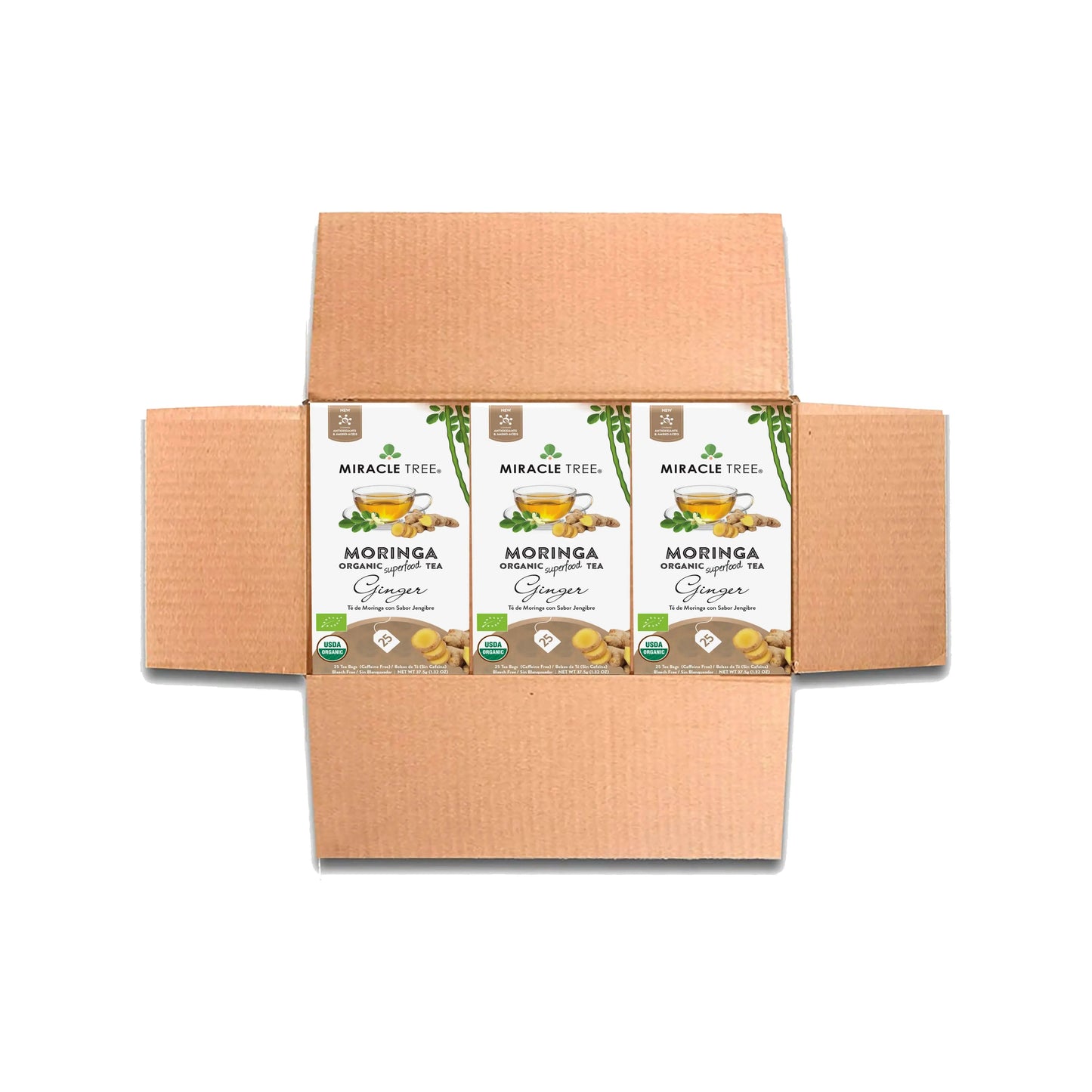 Thé Moringa Bio avec Gingembre - 25 Sachets de Thé Emballés