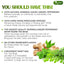 Té Herbal Premium de Moringa, Jengibre y Menta